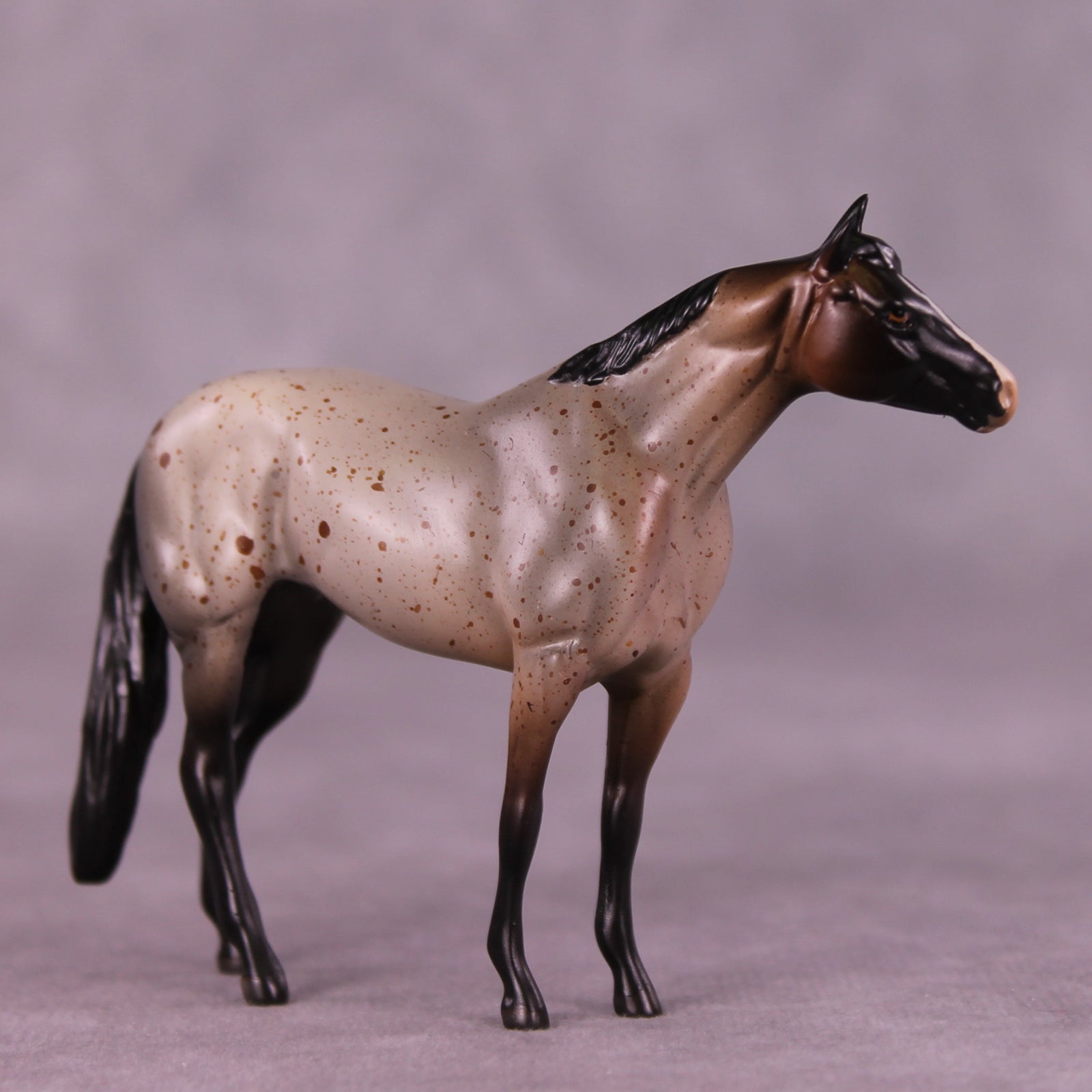 Archibald OOAK Stock Chip by Anna Rieck LHS25