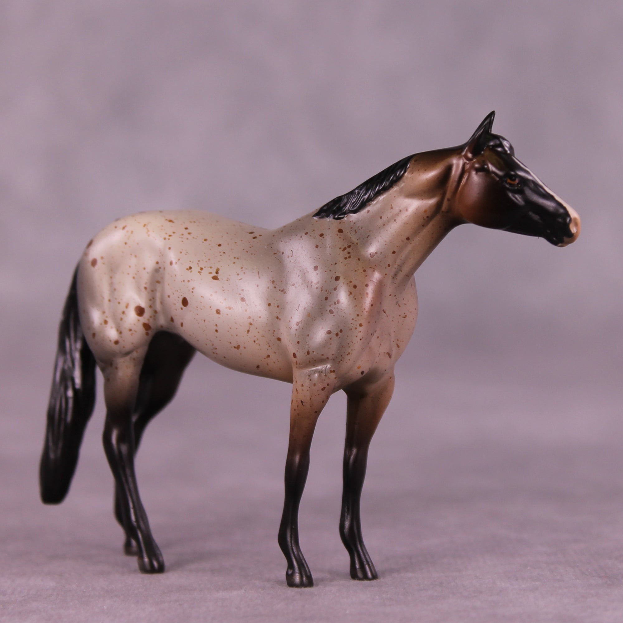 Archibald OOAK Stock Chip by Anna Rieck LHS25
