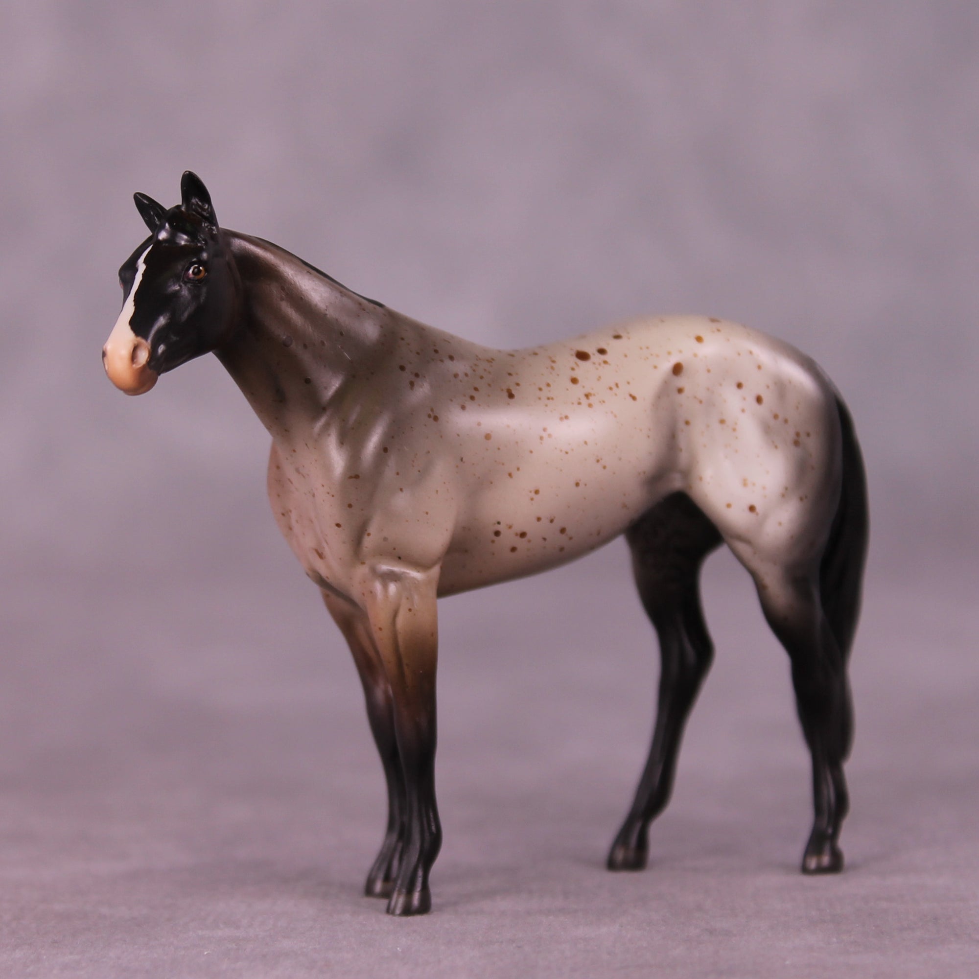 Archibald OOAK Stock Chip by Anna Rieck LHS25