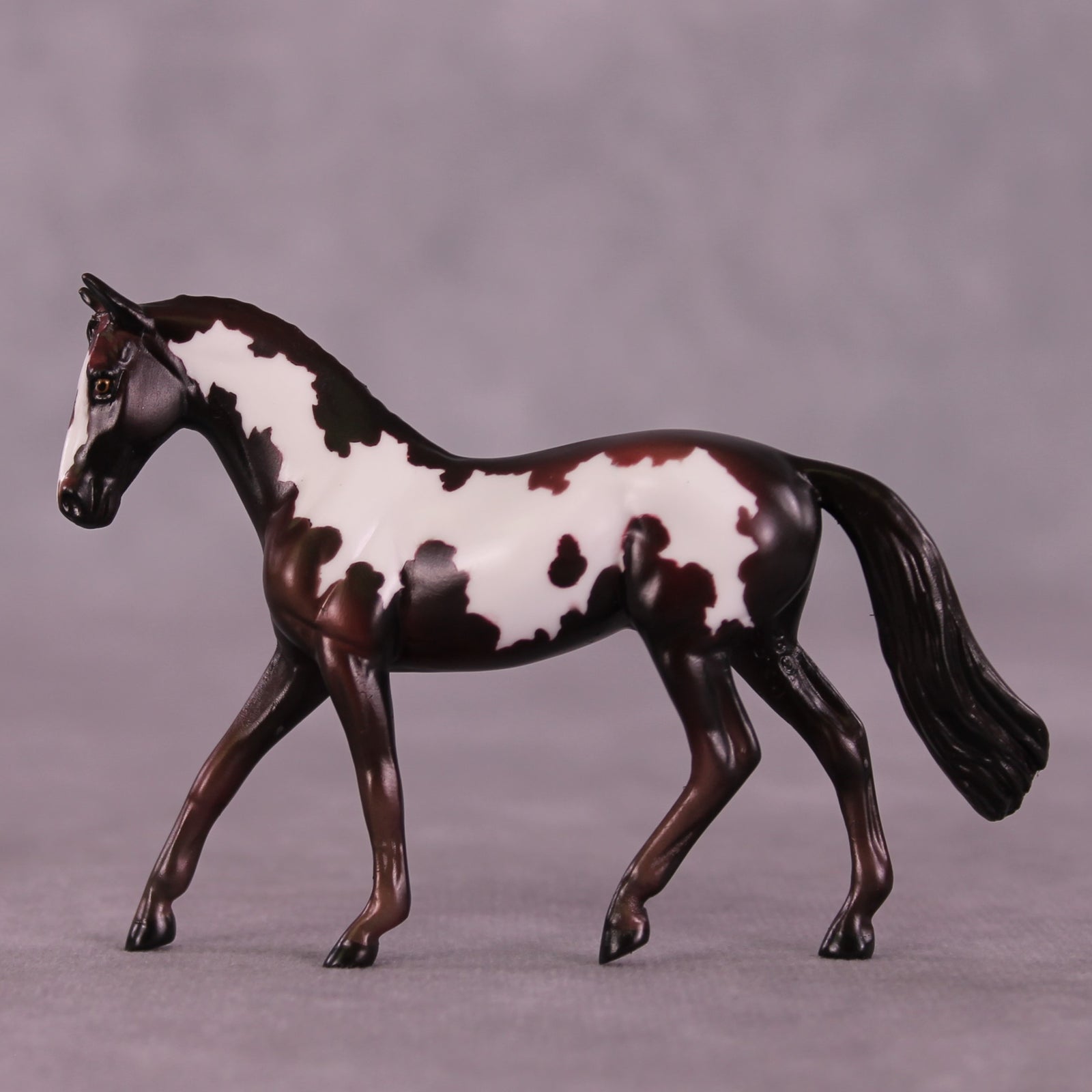 Cafecito OOAK Warmblood Chip by Kike Duarte EQ25