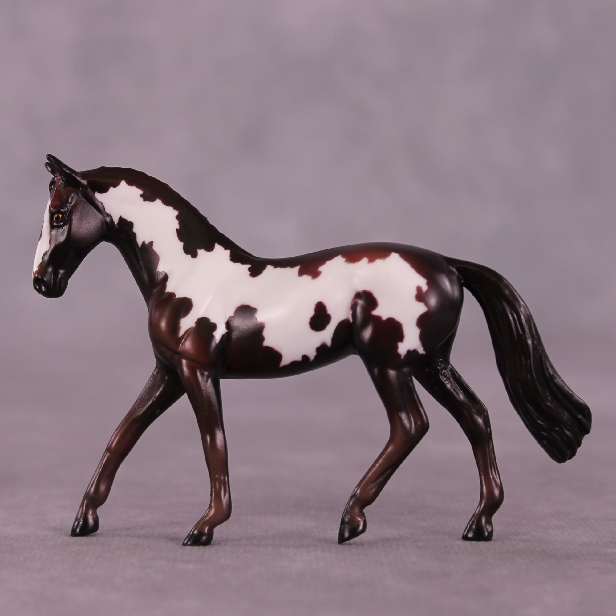 Cafecito OOAK Warmblood Chip by Kike Duarte EQ25