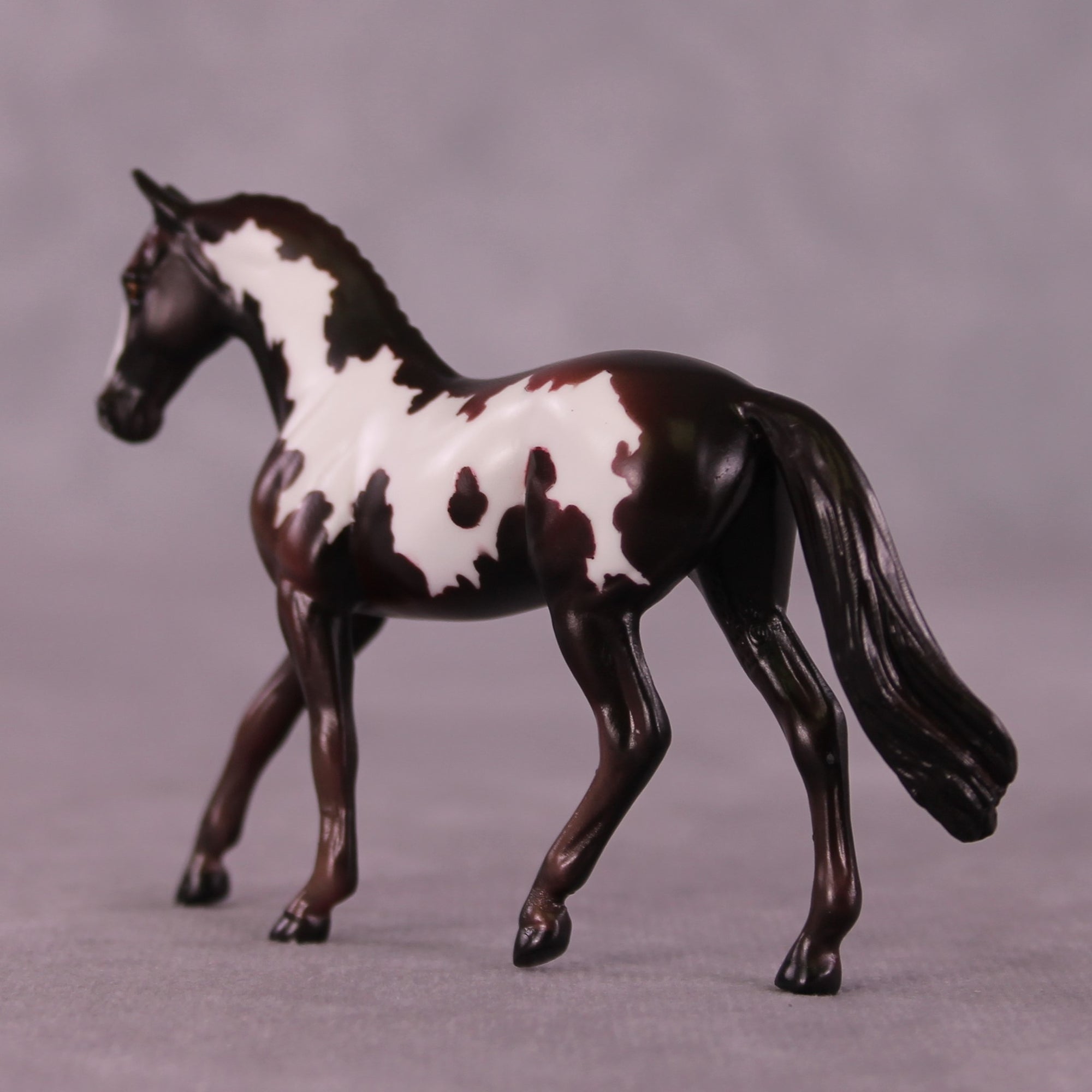 Cafecito OOAK Warmblood Chip by Kike Duarte EQ25