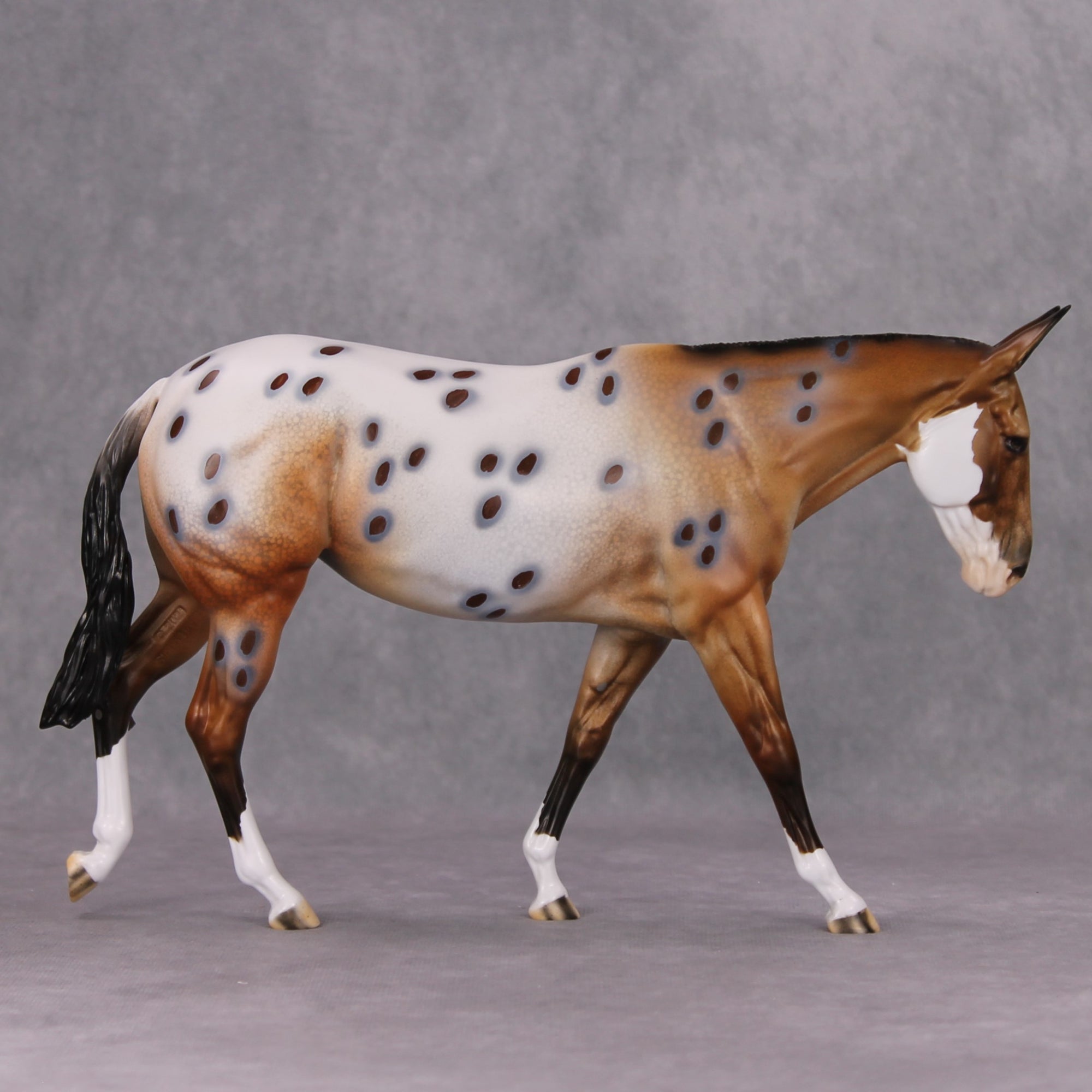 PREVIEW LISTING ONLY Pyrite Cowgirl OOAK Bay Appaloosa Mule By Dawn Quick MM24