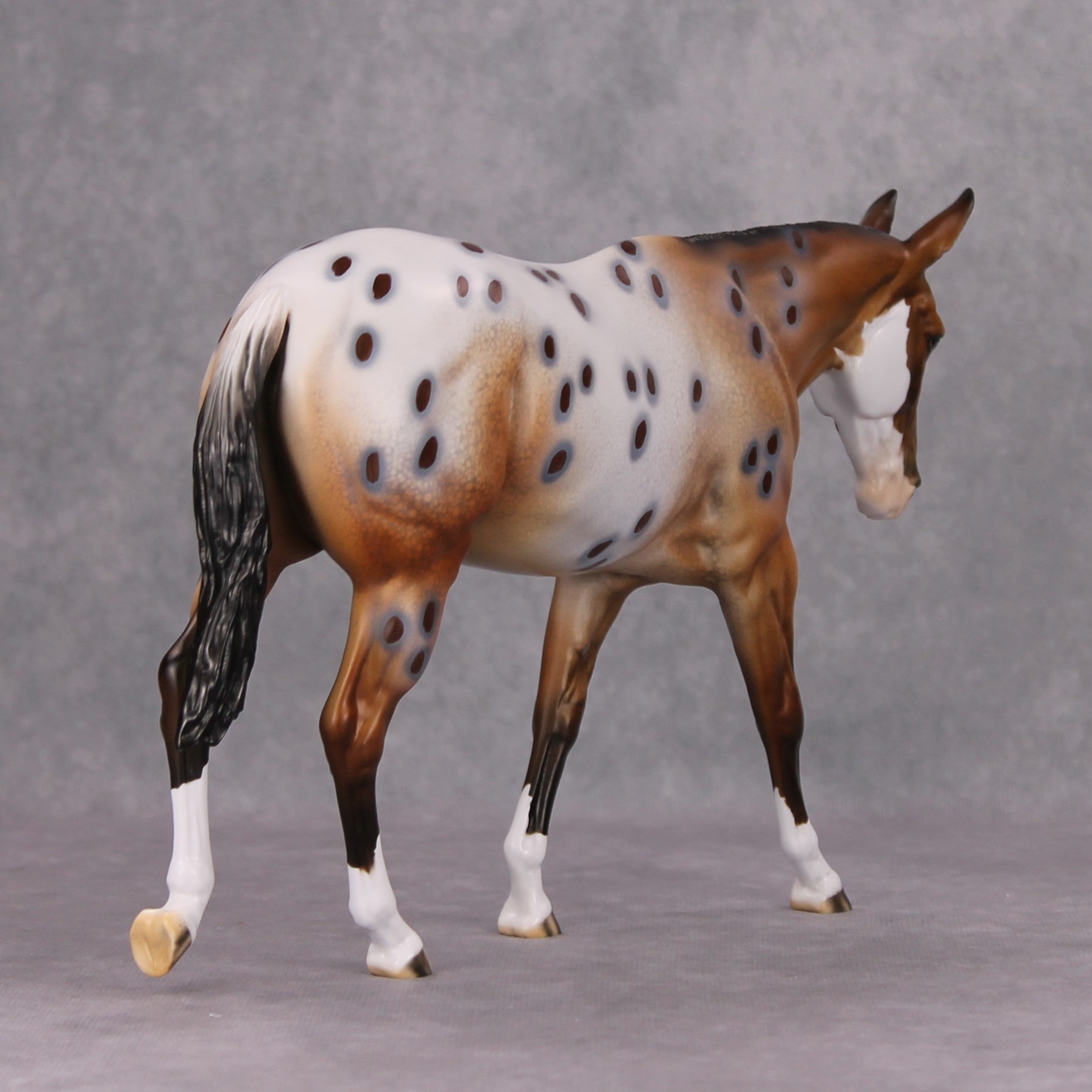 Pyrite Cowgirl OOAK Bay Appaloosa Mule By Dawn Quick MM24