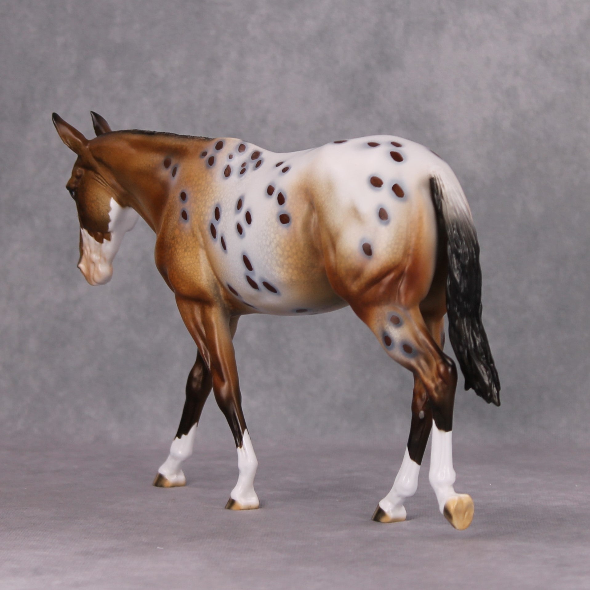 Pyrite Cowgirl OOAK Bay Appaloosa Mule By Dawn Quick MM24