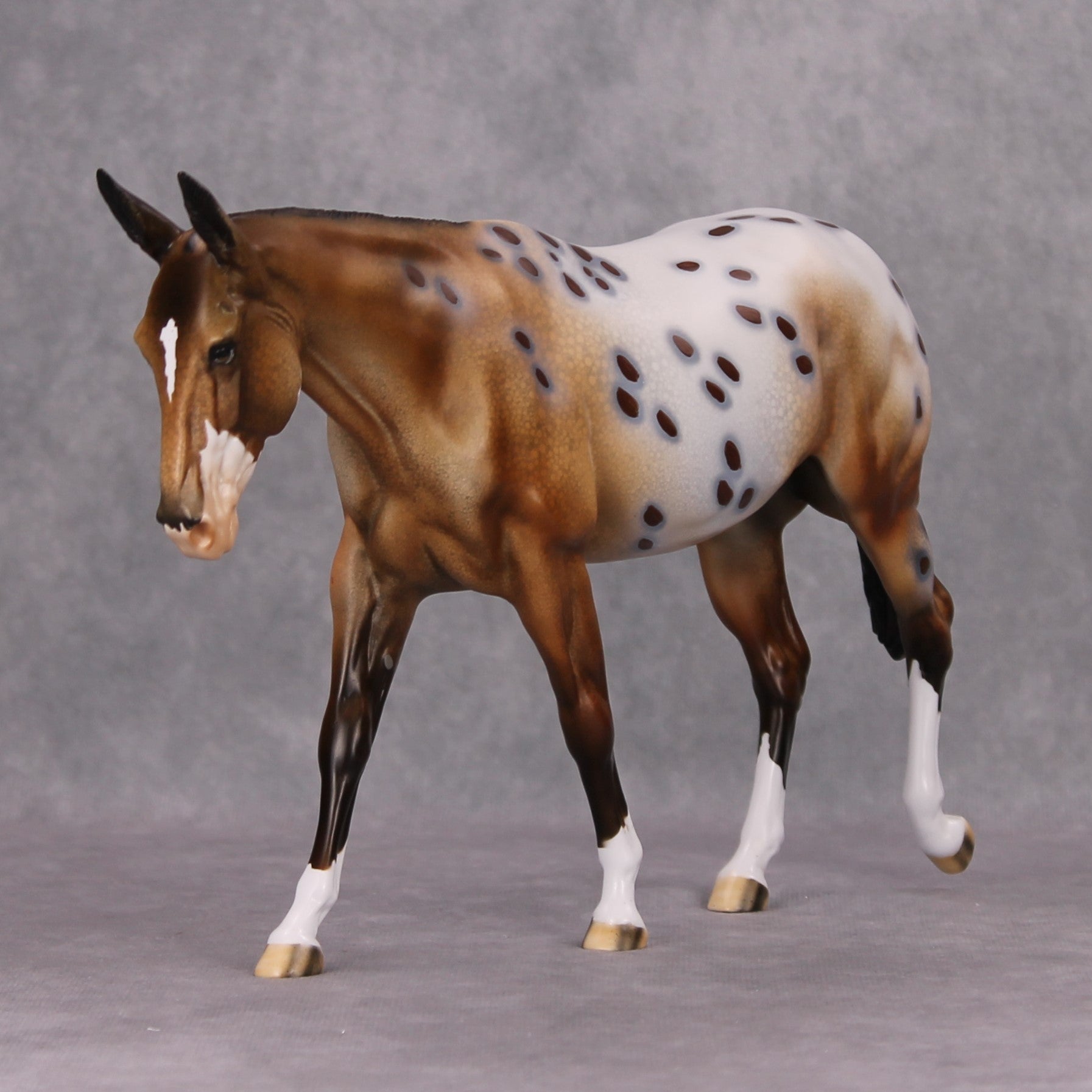 Pyrite Cowgirl OOAK Bay Appaloosa Mule By Dawn Quick MM24