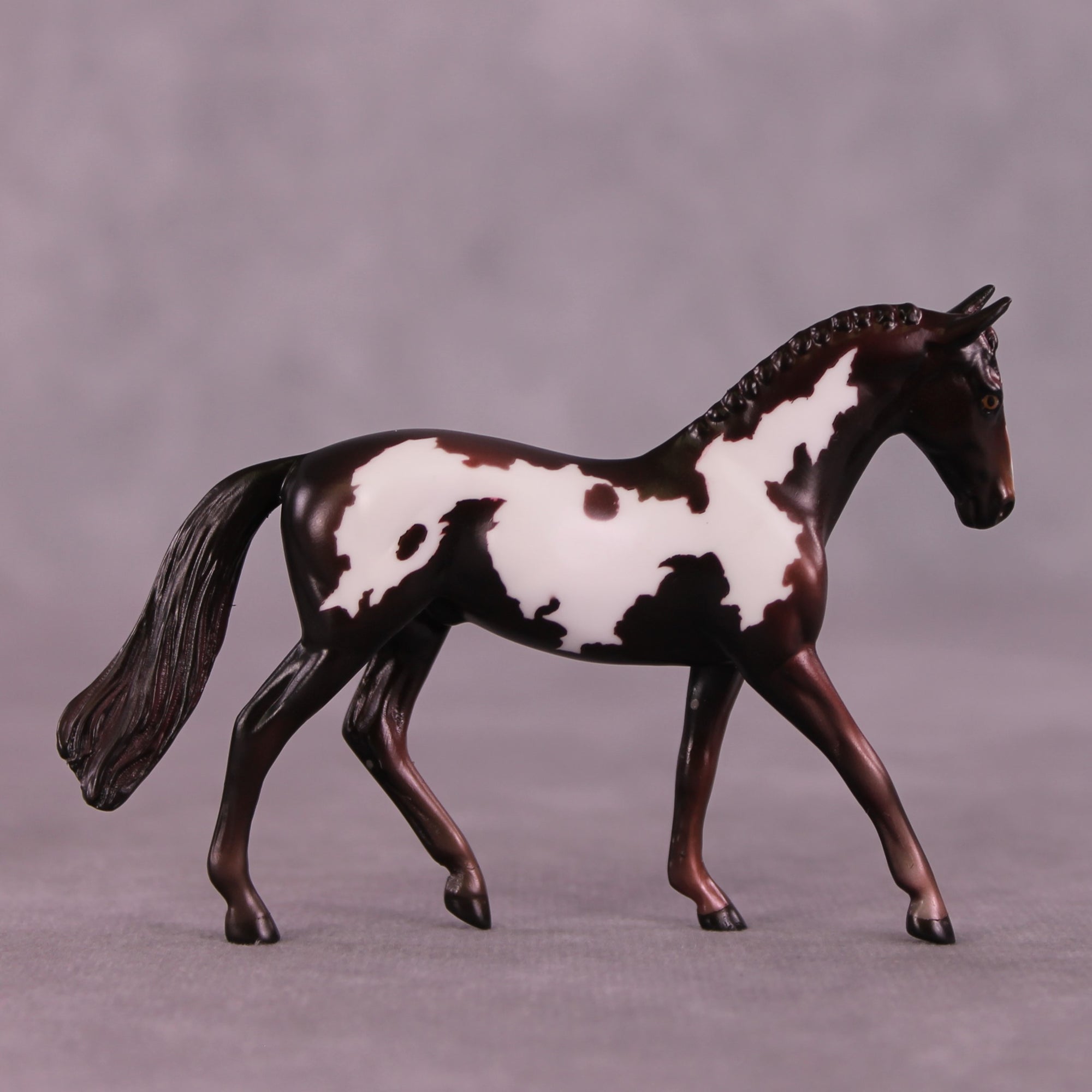 Cafecito OOAK Warmblood Chip by Kike Duarte EQ25
