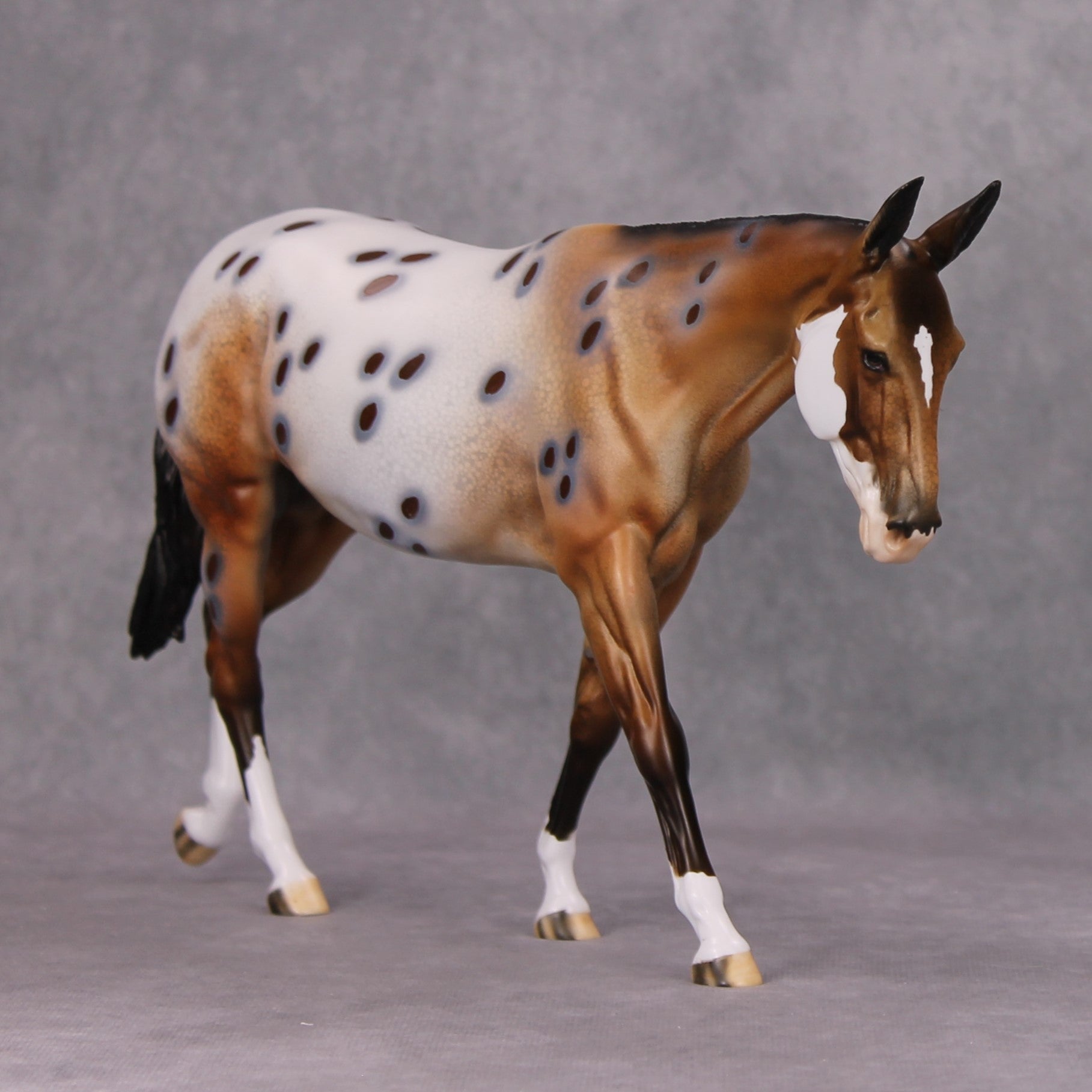 Pyrite Cowgirl OOAK Bay Appaloosa Mule By Dawn Quick MM24