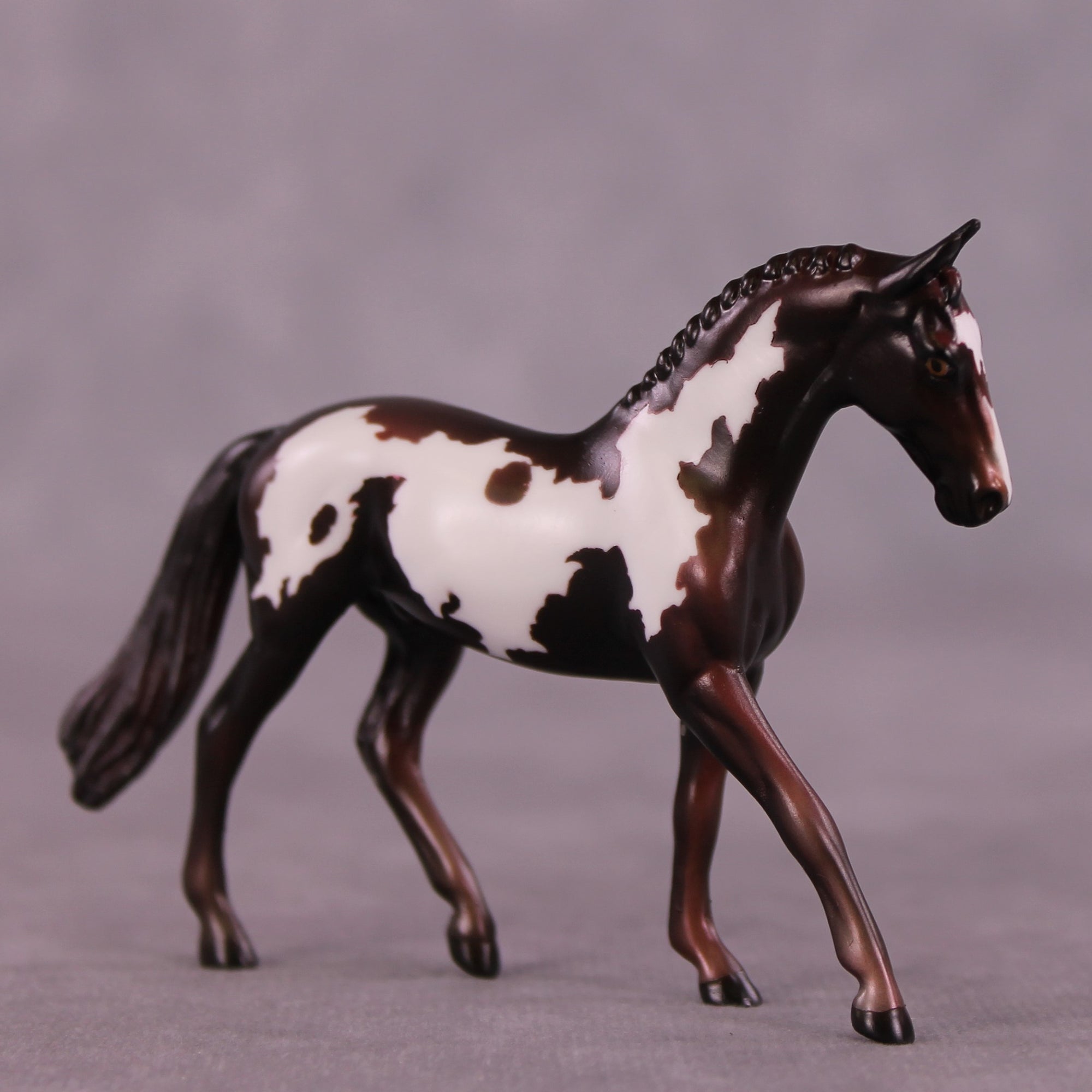 Cafecito OOAK Warmblood Chip by Kike Duarte EQ25