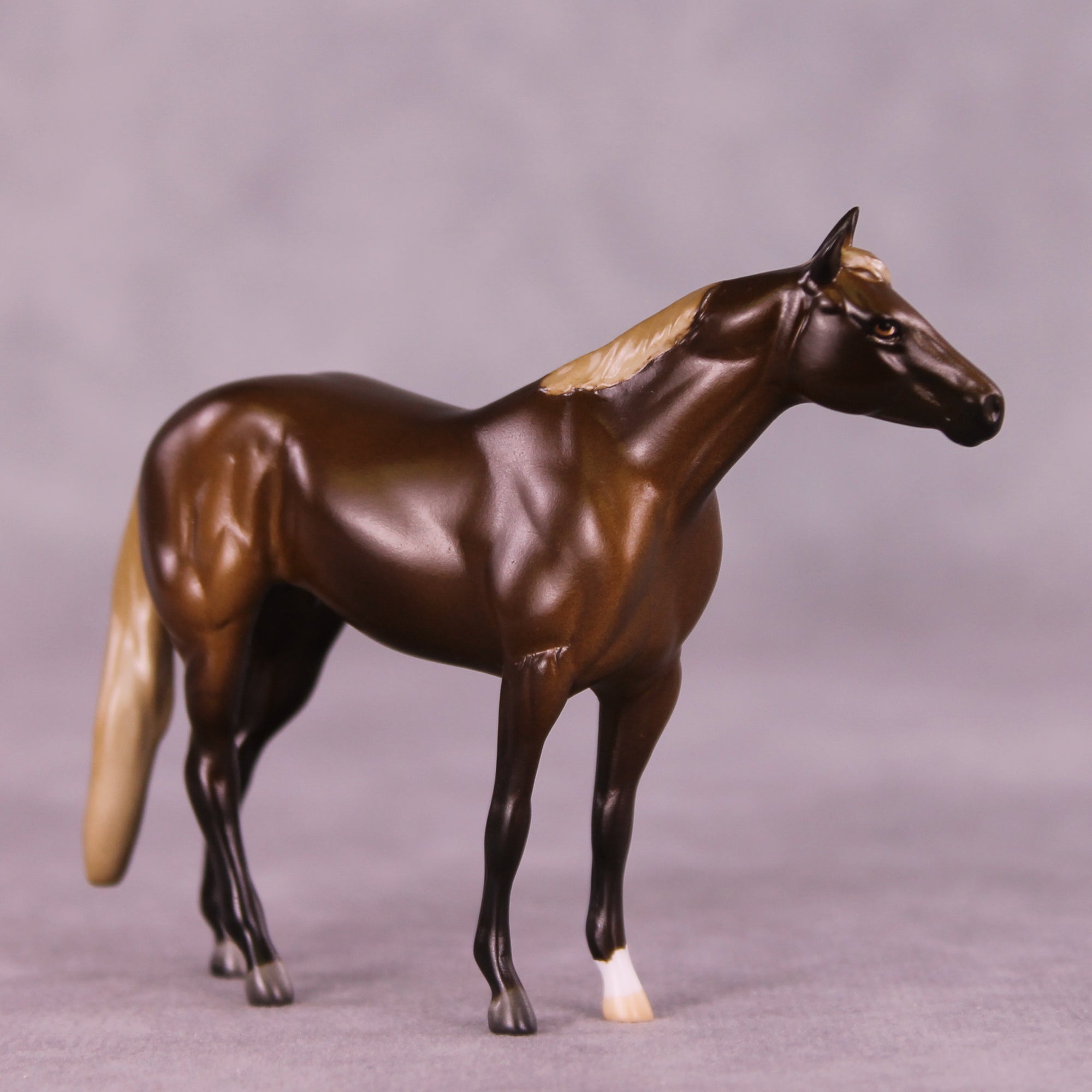 Alfie OOAK Stock Chip by Anna Rieck LHS25