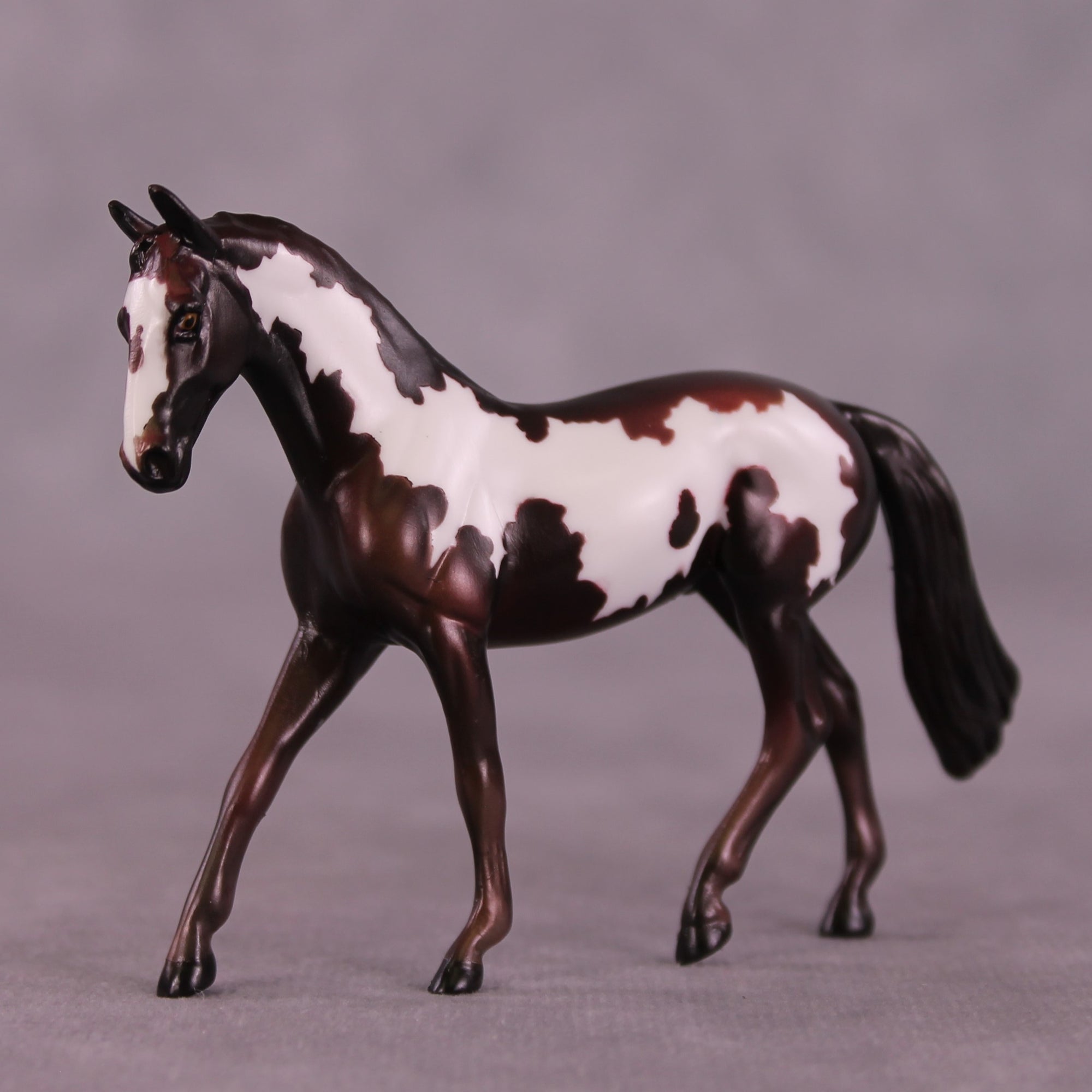 Cafecito OOAK Warmblood Chip by Kike Duarte EQ25