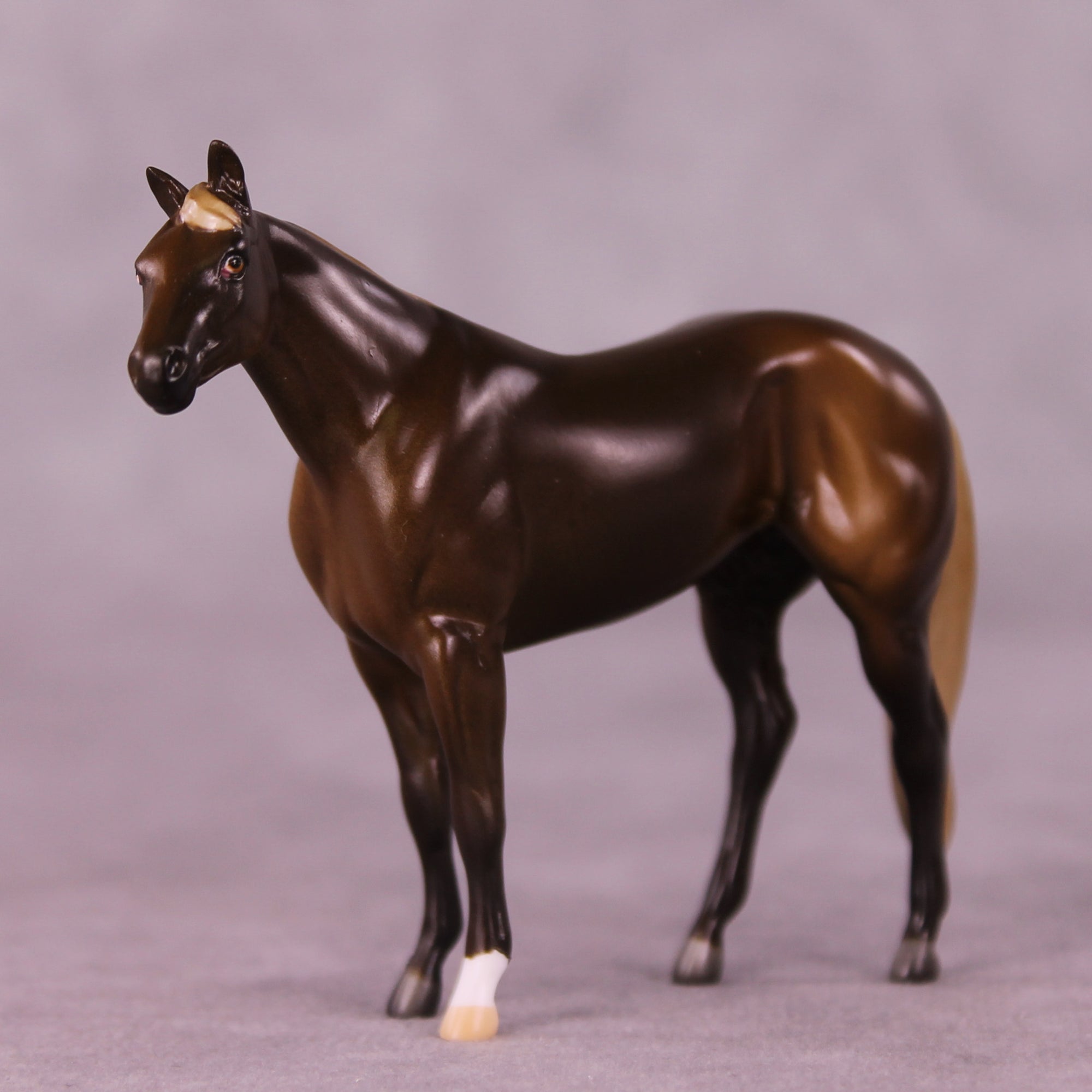 Alfie OOAK Stock Chip by Anna Rieck LHS25