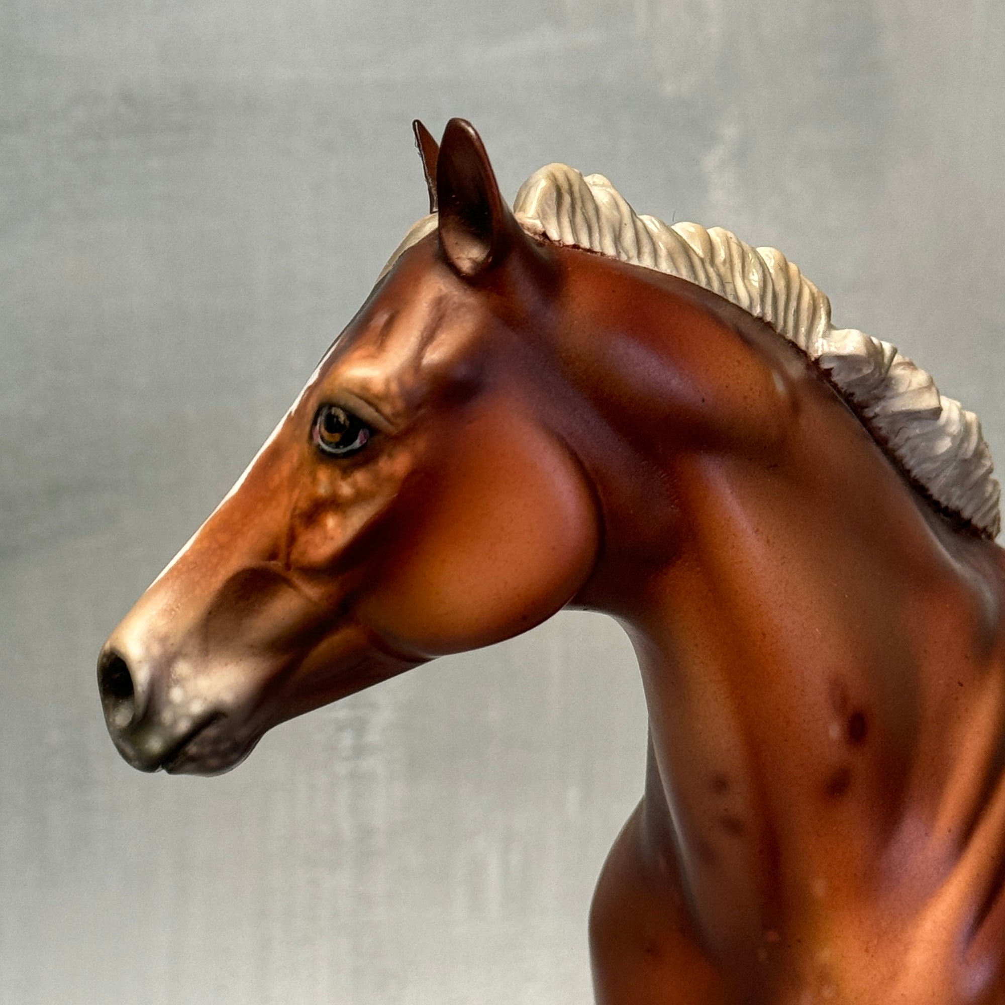 SAMPLE Virginia Appaloosa Custom ISH Mare By Julie Keim SS824