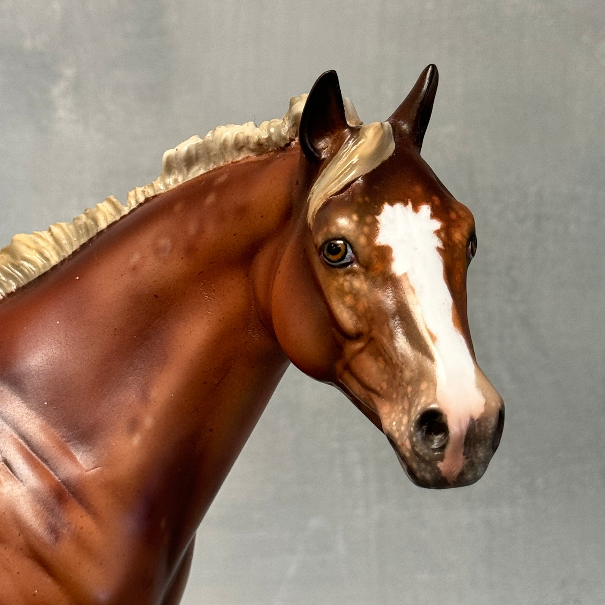 SAMPLE Virginia Appaloosa Custom ISH Mare By Julie Keim SS824