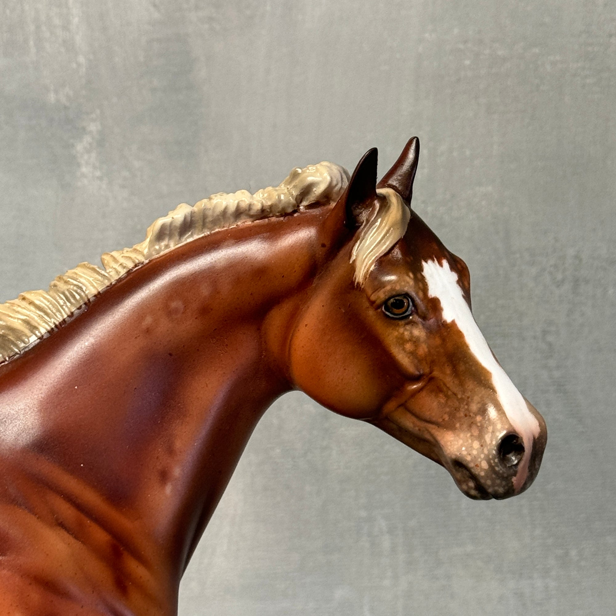 SAMPLE Virginia Appaloosa Custom ISH Mare By Julie Keim SS824