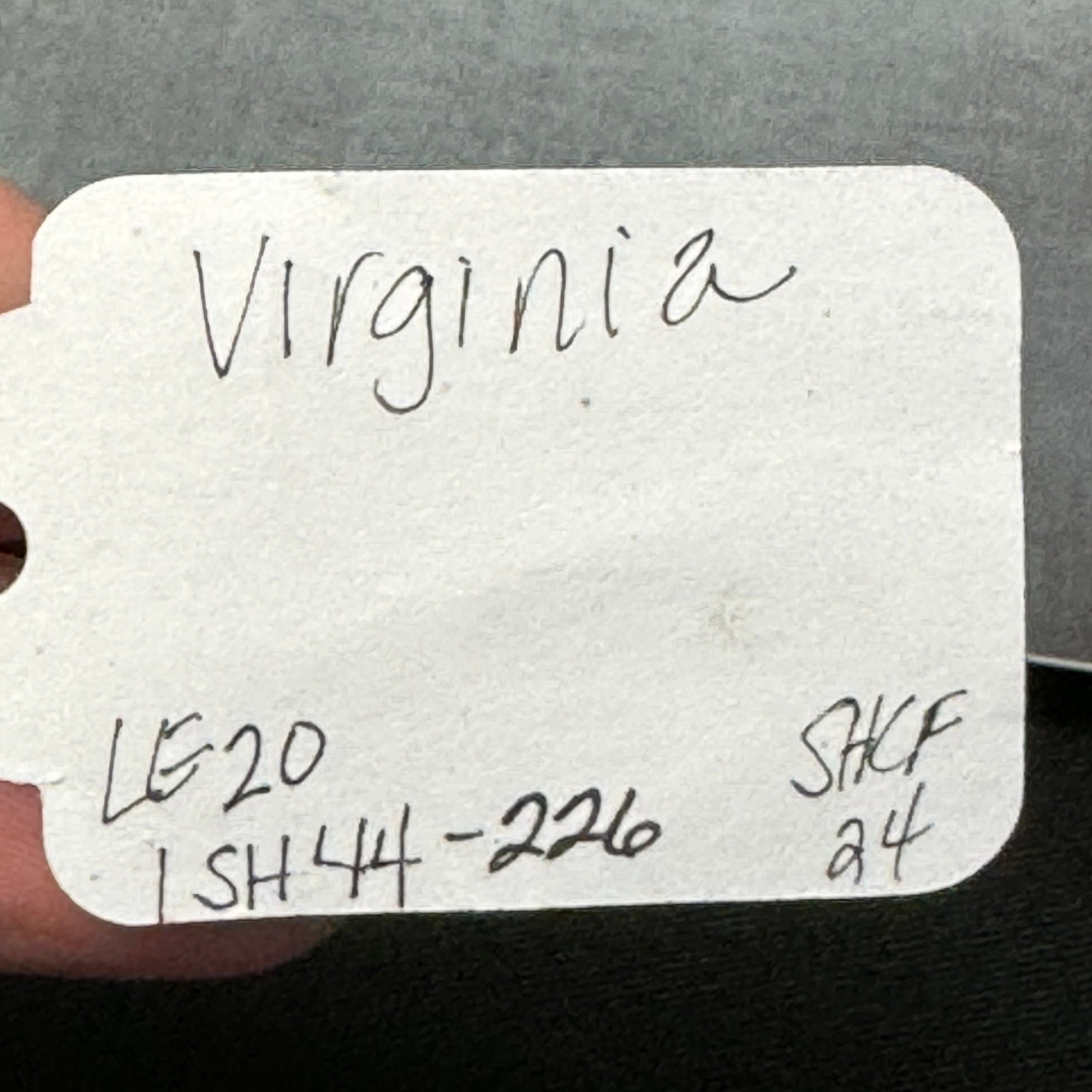 SAMPLE Virginia Appaloosa Custom ISH Mare By Julie Keim SS824