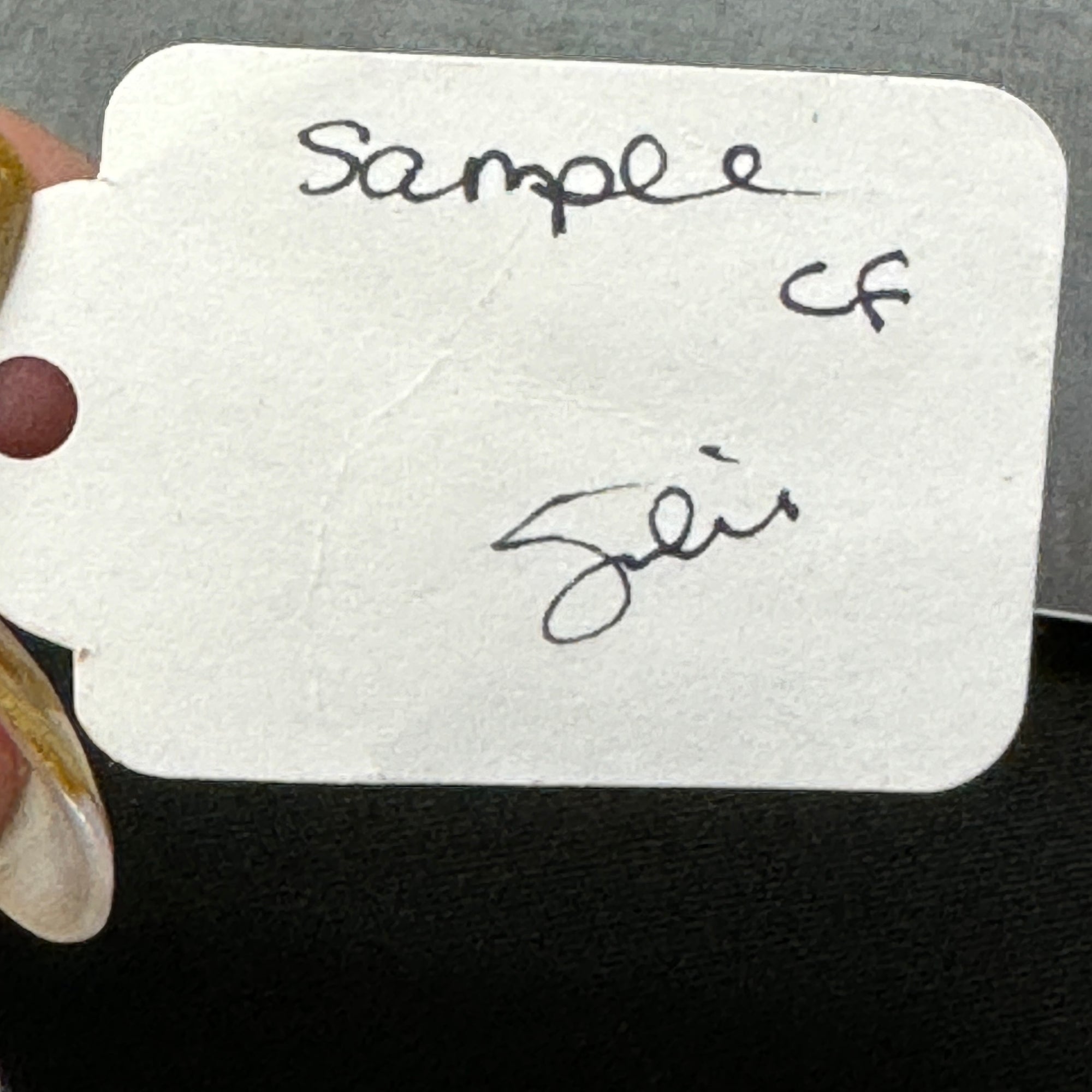 SAMPLE Virginia Appaloosa Custom ISH Mare By Julie Keim SS824