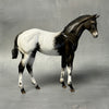 SAMPLE Renn Black Appaloosa Custom Weanling By Julie Keim SS824