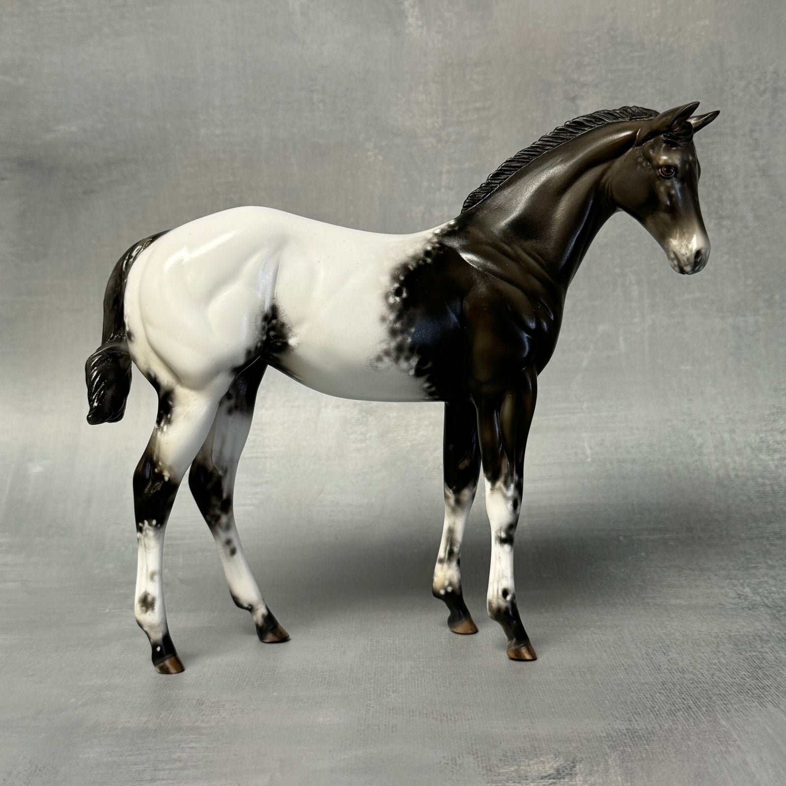 SAMPLE Renn Black Appaloosa Custom Weanling By Julie Keim SS824