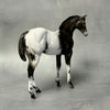 SAMPLE Renn Black Appaloosa Custom Weanling By Julie Keim SS824