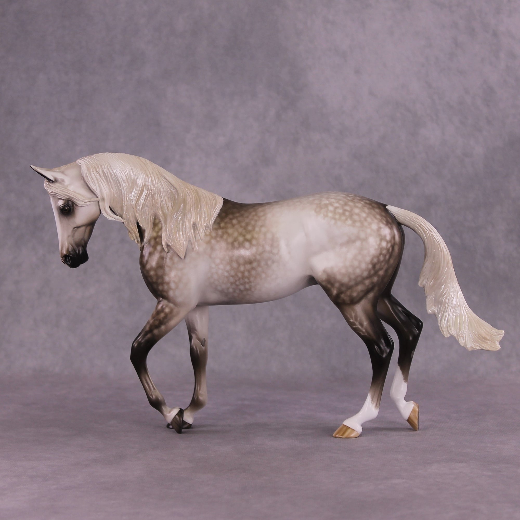 "LaSalle Explorer" OOAK FCM Thoroughbred by Sheryl Leisure Best Offer 6/18/25