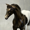 SAMPLE Renn Black Appaloosa Custom Weanling By Julie Keim SS824