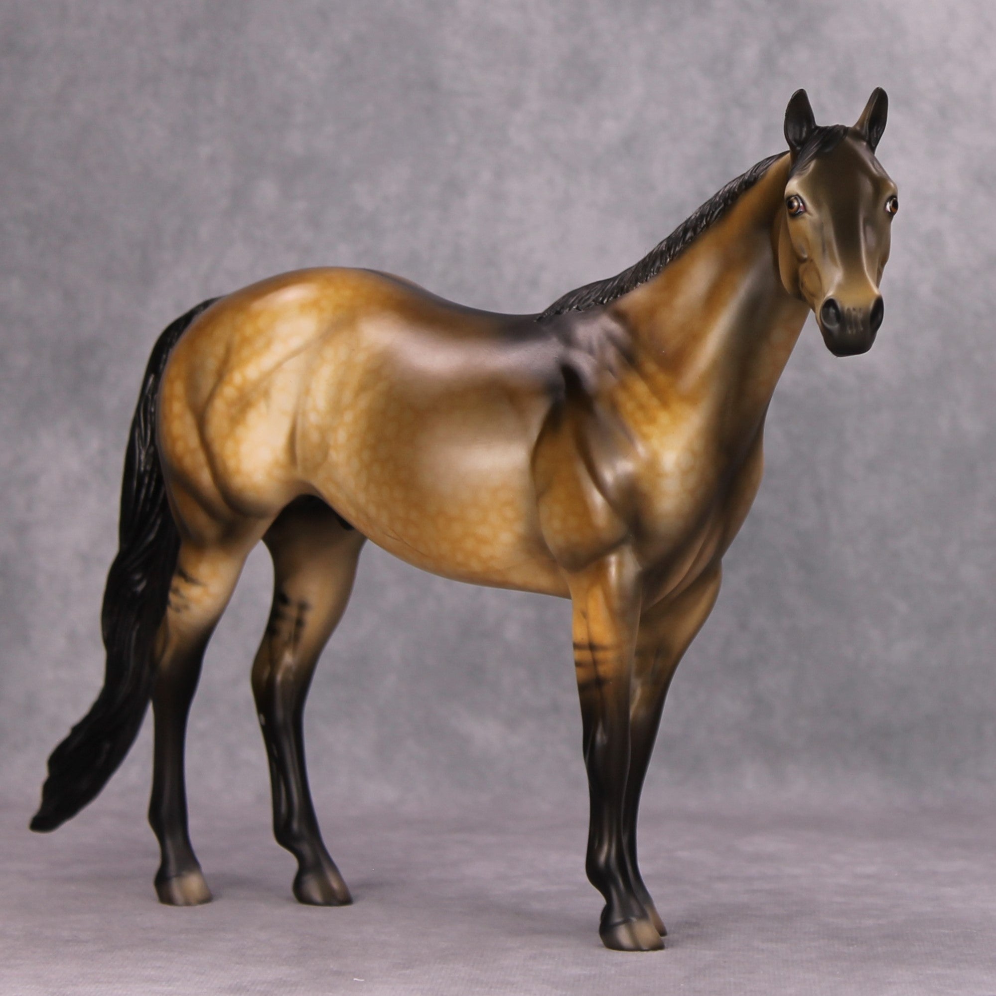 Dun Enough OOAK Dappled Buckskin ISH By Dawn Quick MM24