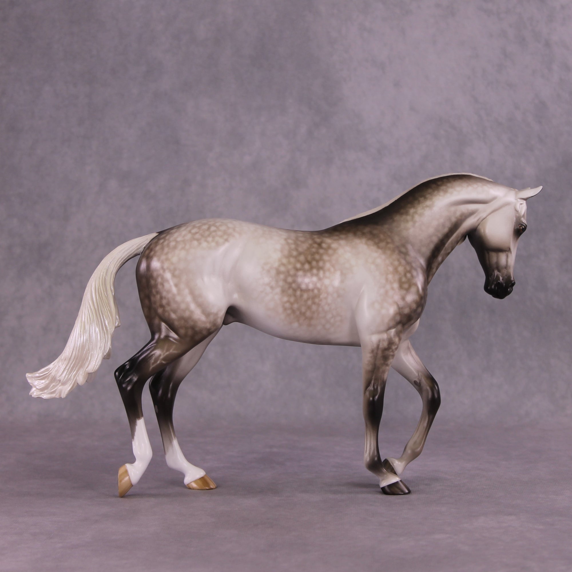 "LaSalle Explorer" OOAK FCM Thoroughbred by Sheryl Leisure Best Offer 6/18/25