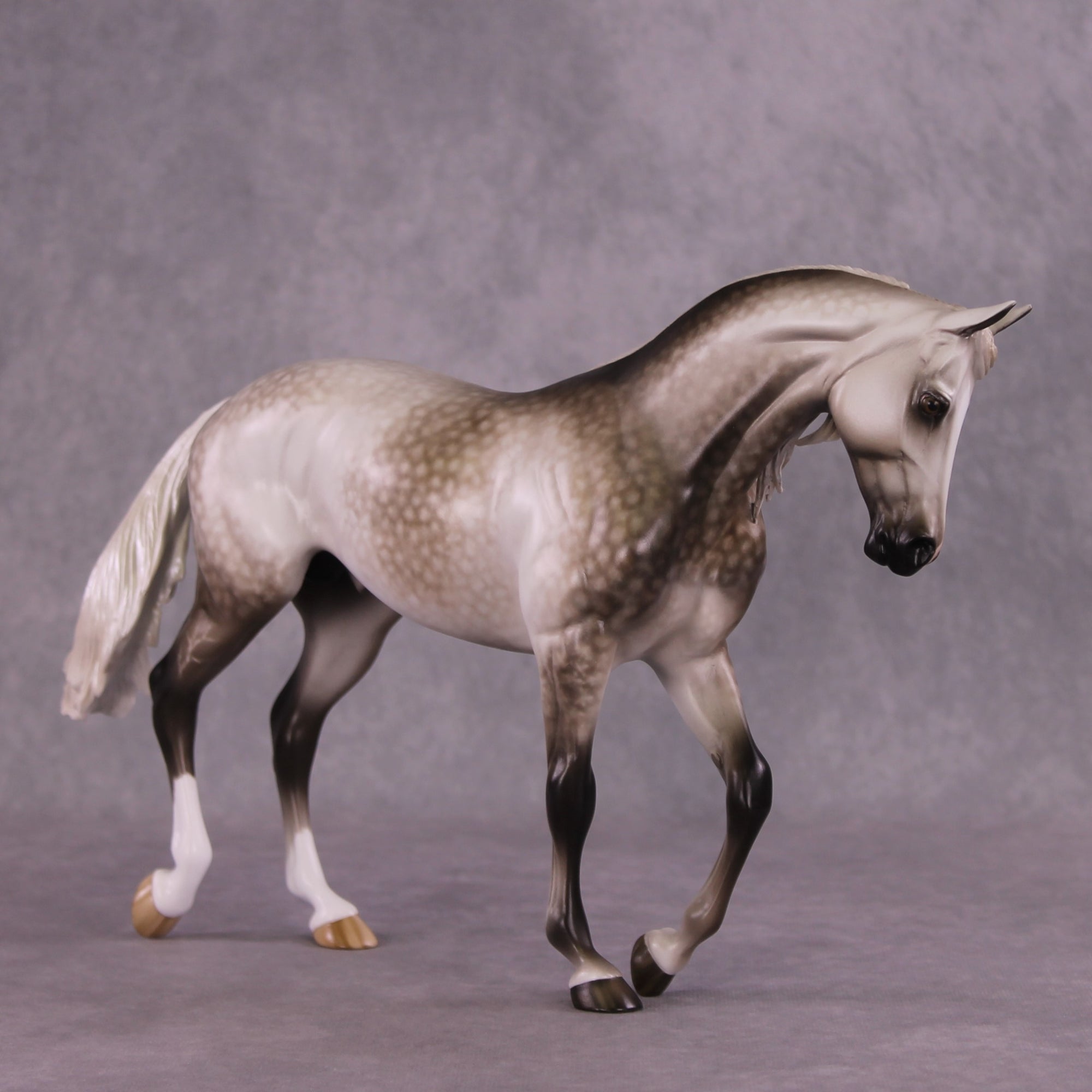 "LaSalle Explorer" OOAK FCM Thoroughbred by Sheryl Leisure Best Offer 6/18/25