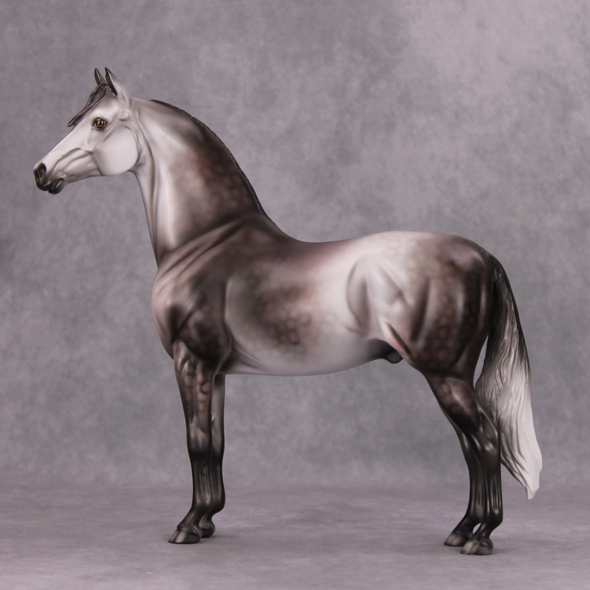 PREVIEW LISTING ONLY Coltergeist OOAK Dappled Grey Morgan By Dawn Quick MM24