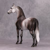 PREVIEW LISTING ONLY Coltergeist OOAK Dappled Grey Morgan By Dawn Quick MM24