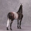 PREVIEW LISTING ONLY Coltergeist OOAK Dappled Grey Morgan By Dawn Quick MM24