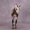 &quot;LaSalle Explorer&quot; OOAK FCM Thoroughbred by Sheryl Leisure Best Offer 6/18/25