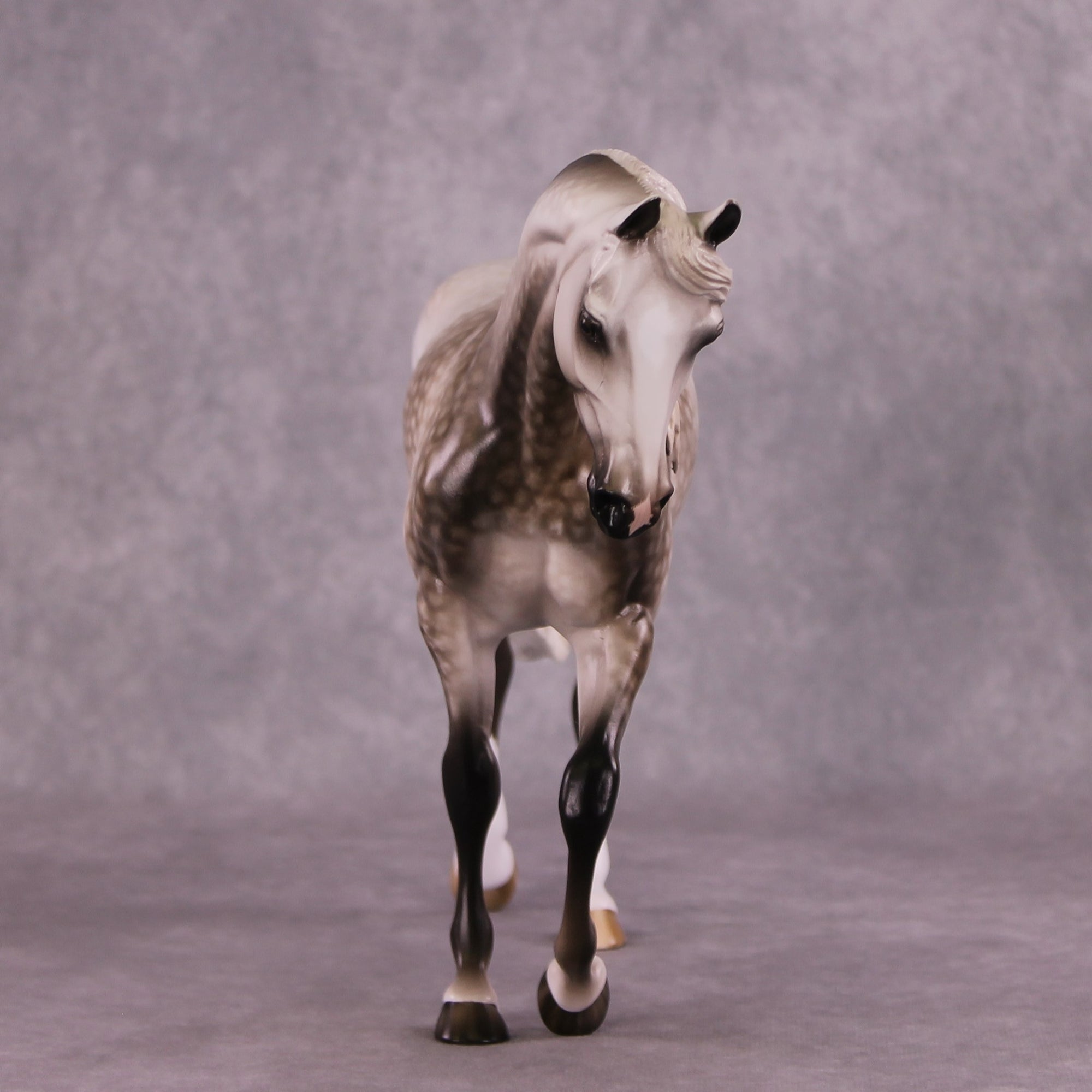 "LaSalle Explorer" OOAK FCM Thoroughbred by Sheryl Leisure Best Offer 6/18/25