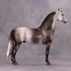 PREVIEW LISTING ONLY Coltergeist OOAK Dappled Grey Morgan By Dawn Quick MM24