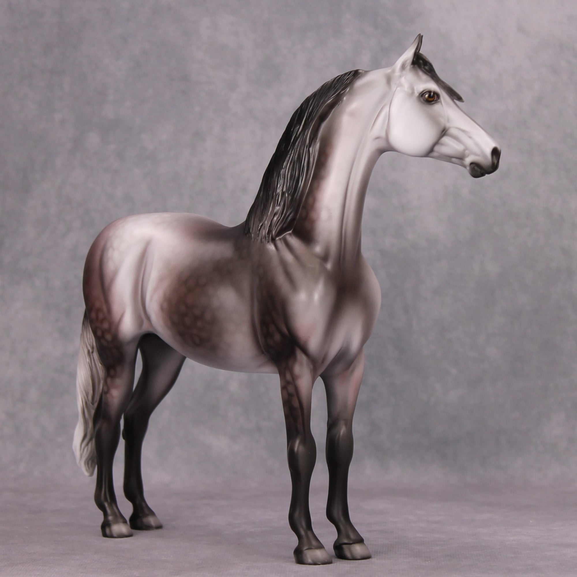 Coltergeist OOAK Dappled Grey Morgan By Dawn Quick MM24