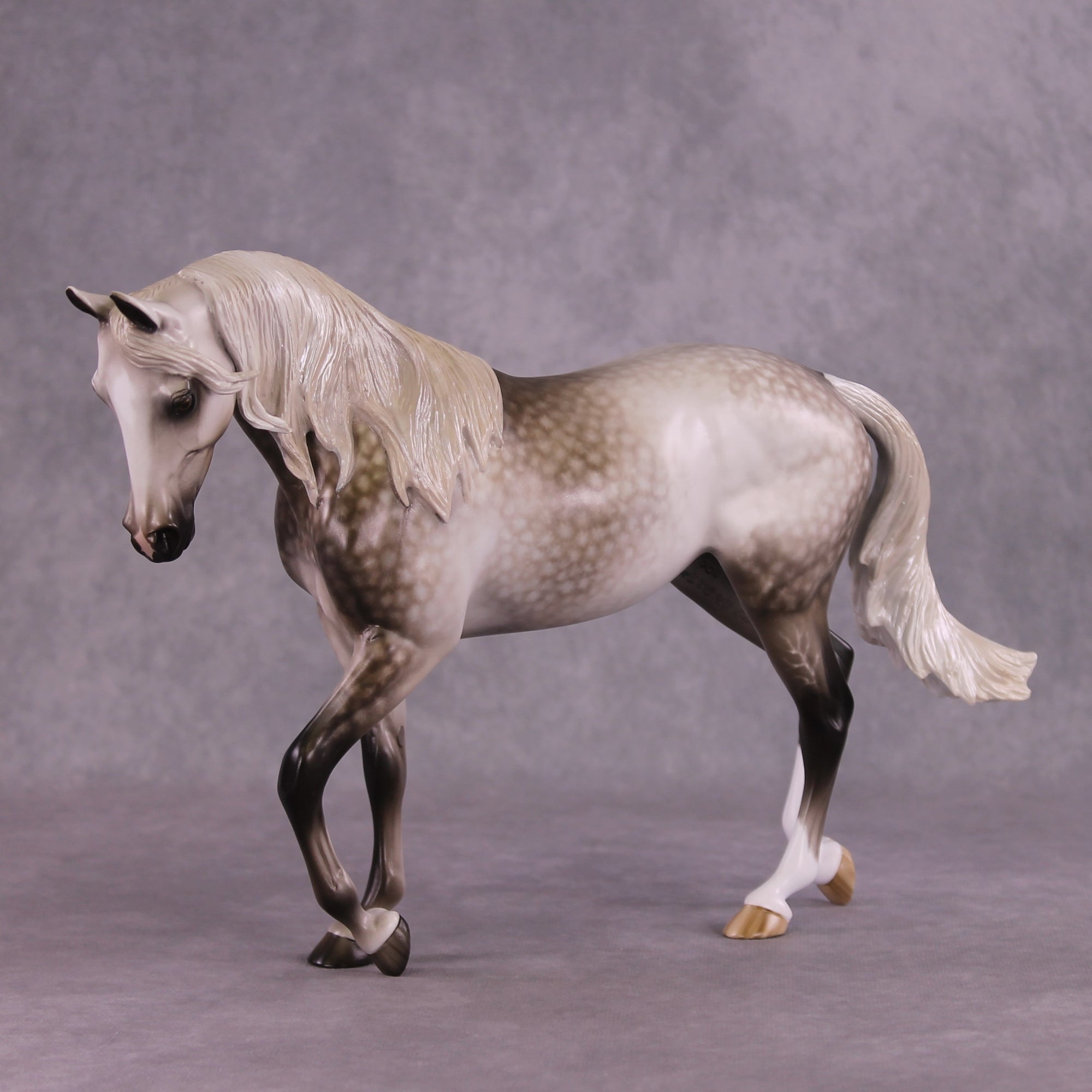 "LaSalle Explorer" OOAK FCM Thoroughbred by Sheryl Leisure Best Offer 6/18/25