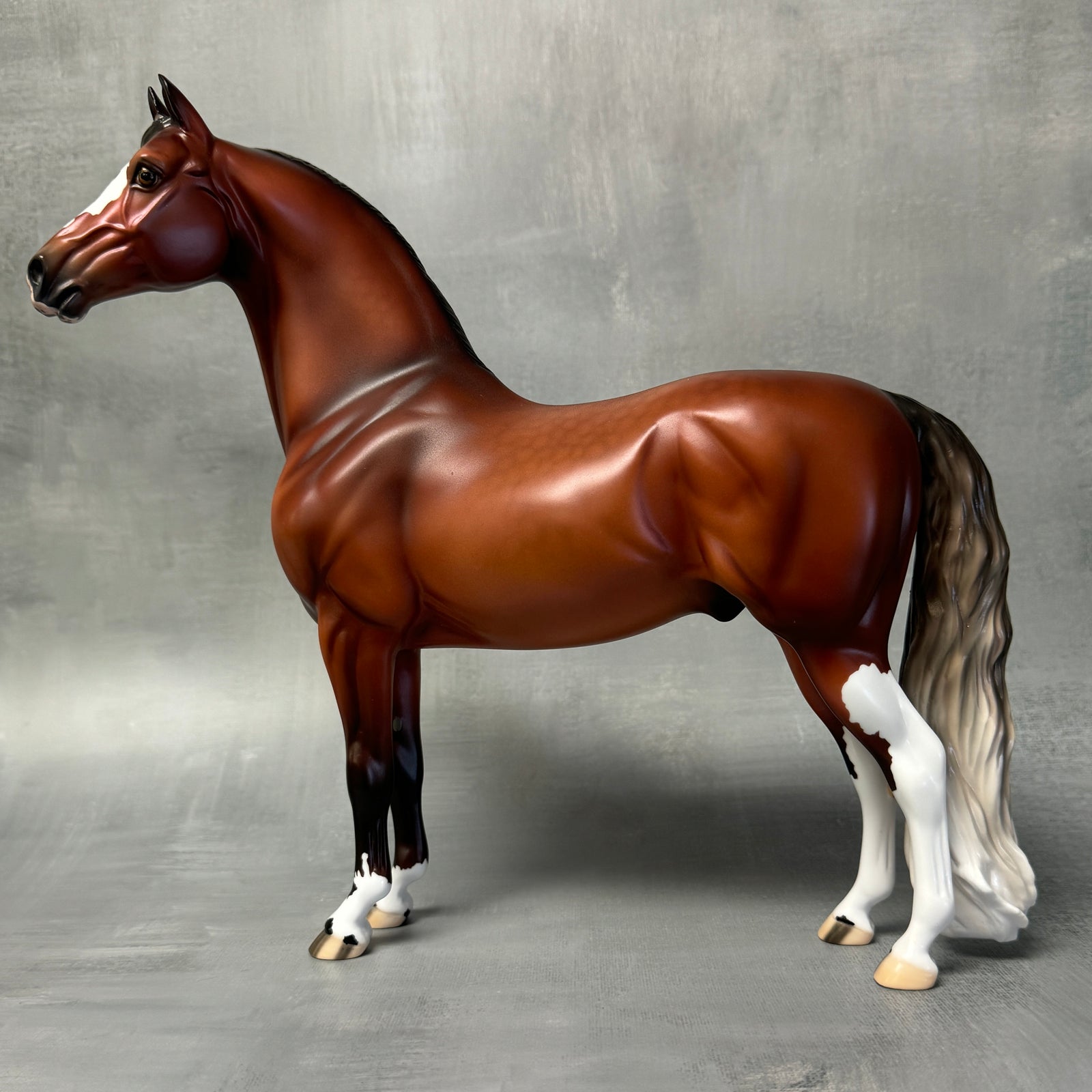 Gulliver SAMPLE  Dappled Silver Bay Morgan By Ellen Robbins Classic Literature Series 2024 SS824