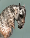 Currant OOAK Fleabitten Grey Andalusian By Jess Hamill - SHCF24 May End of Month Sale SS524