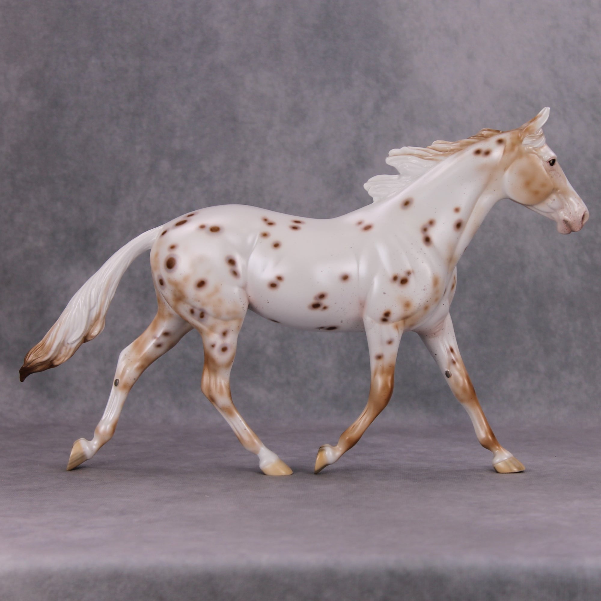 PREVIEW LISTING ONLY Spiced OOAK Chestnut Appy Palouse By Ellen Robbins MM24