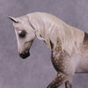 &quot;LaSalle Explorer&quot; OOAK FCM Thoroughbred by Sheryl Leisure Best Offer 6/18/25