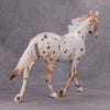 PREVIEW LISTING ONLY Spiced OOAK Chestnut Appy Palouse By Ellen Robbins MM24