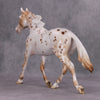 PREVIEW LISTING ONLY Spiced OOAK Chestnut Appy Palouse By Ellen Robbins MM24