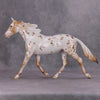 PREVIEW LISTING ONLY Spiced OOAK Chestnut Appy Palouse By Ellen Robbins MM24