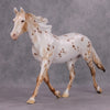 PREVIEW LISTING ONLY Spiced OOAK Chestnut Appy Palouse By Ellen Robbins MM24