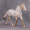 PREVIEW LISTING ONLY Spiced OOAK Chestnut Appy Palouse By Ellen Robbins MM24