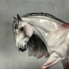 SAMPLE Nouveaux (Realistic) Dappled Rose Grey Custom Irish Cob By Jess Hamill - SS824