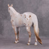 PREVIEW LISTING ONLY Ghost Chili OOAK Chestnut Appy ISH By Ellen Robbins MM24