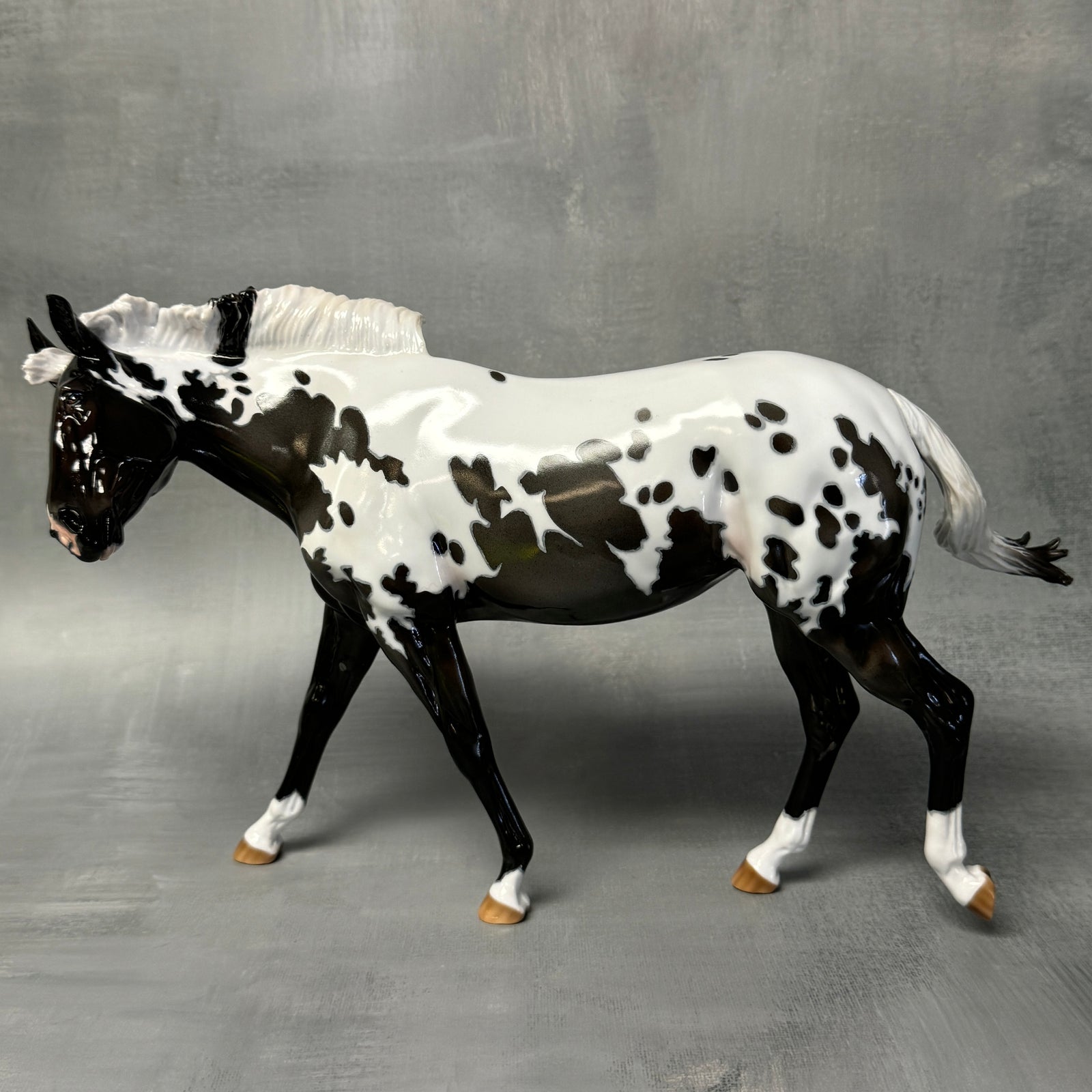 Sprinkles SAMPLE Extreme Custom Pintaloosa Mule By Ashley Palmer - SS824