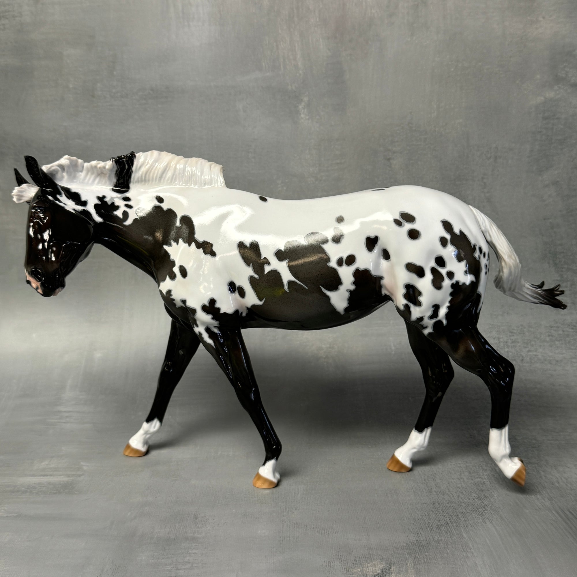 Sprinkles SAMPLE Extreme Custom Pintaloosa Mule By Ashley Palmer - SS824